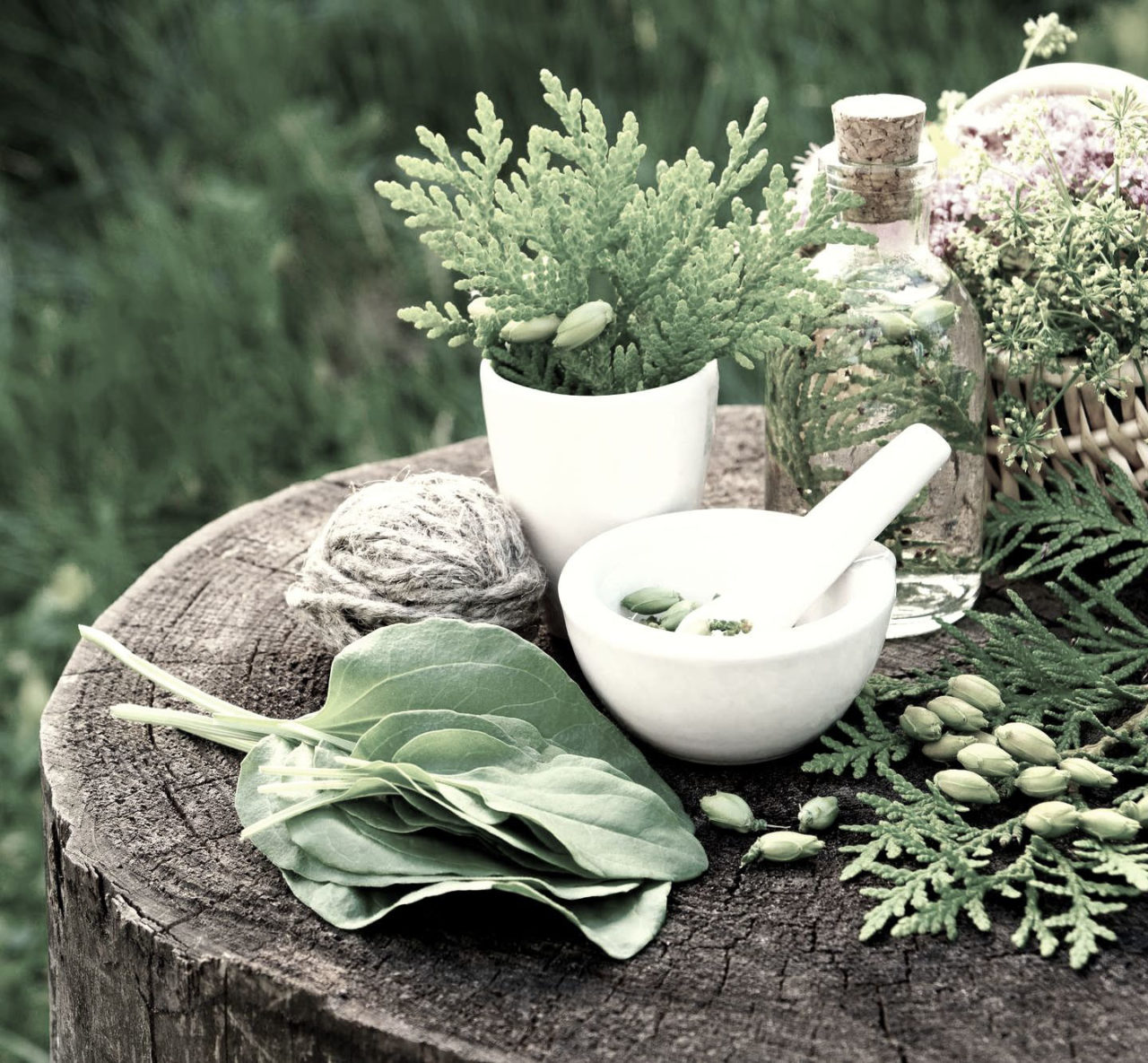 Thérapies naturelles -Naturopathie genève, massages geneve plainpalais